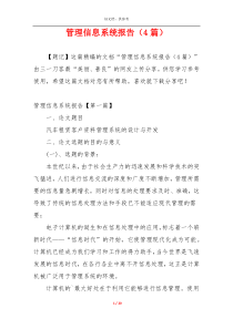 管理信息系统报告（4篇）
