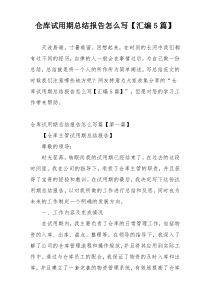 仓库试用期总结报告怎么写【汇编5篇】