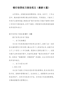 银行信贷实习报告范文（最新5篇）