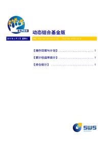 申银万国-投资组合建议基金版-100602