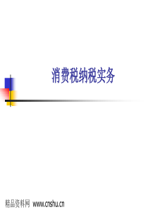 消费税纳税实务-消费税概述 (ppt 60)