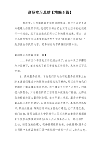 商场实习总结【精编5篇】