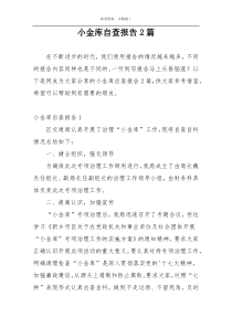 小金库自查报告2篇