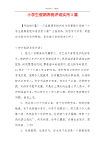 小学生假期表现评语实用3篇