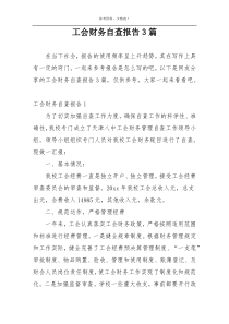 工会财务自查报告3篇