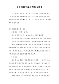 关于促销方案【范例5篇】