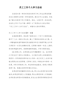 员工工作个人学习总结