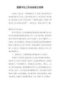团委书记工作总结范文范例
