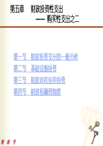 第5章财政投资性支出——购买性支出之二