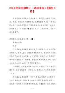 2023年试用期转正（述职报告）【通用5篇】