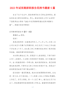 2023年试用期辞职报告范例书最新5篇