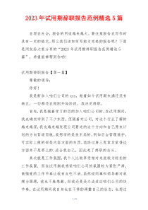 2023年试用期辞职报告范例精选5篇
