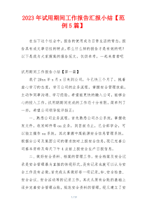 2023年试用期间工作报告汇报小结【范例5篇】