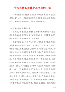 中央民族心得体会范文范例4篇