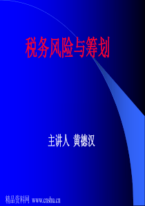 税务风险与筹划(ppt 119页)