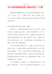2023我的青春我的团心得体会范文（4篇）