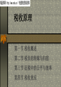 税收原理1