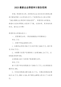 2023最新企业季度审计报告范例