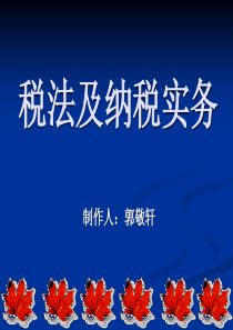 税法及纳税实务