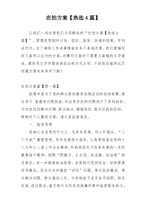 在拍方案【热选4篇】