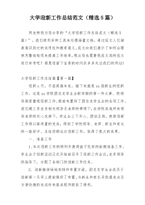 大学迎新工作总结范文（精选5篇）