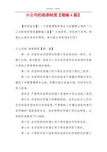 小公司的规章制度【精编4篇】