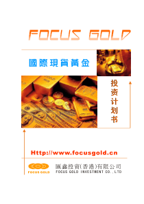 黄金公司投资计划书