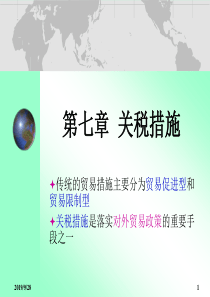 第七章关税保护措施