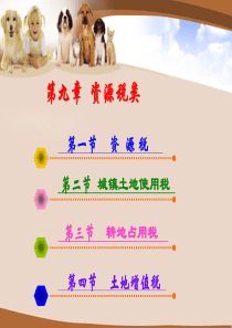 第九章资源税类