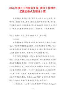 2023年项目工作报告汇报_项目工作报告汇报的格式及精选5篇