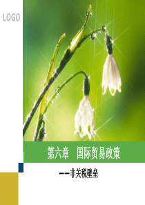 第六章国际贸易政策__非关税壁垒