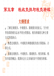 第五章--税收负担与税负转嫁