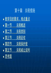 第十章关税措施ppt-PowerPointPresen
