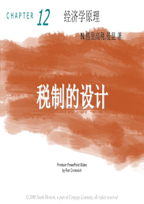 经济学原理_12税制的设计