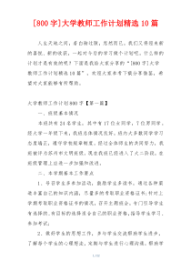 [800字]大学教师工作计划精选10篇