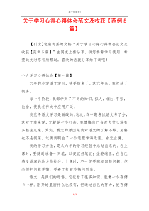 关于学习心得心得体会范文及收获【范例5篇】