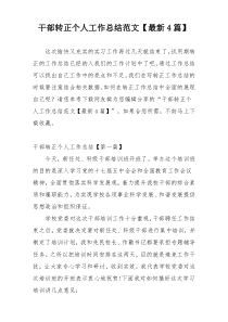 干部转正个人工作总结范文【最新4篇】