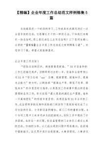【精编】企业年度工作总结范文样例锦集5篇