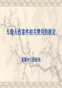 车险人伤案件审核要点