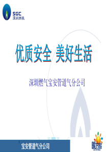 住宅小区燃气用户安全培训PPT
