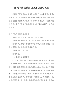 圣诞节的促销活动方案(案例)5篇