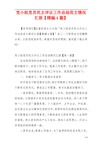 党小组党员民主评议工作总结范文情况汇报【精编4篇】