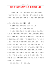 [20字]实用大学生社会实践评语4篇