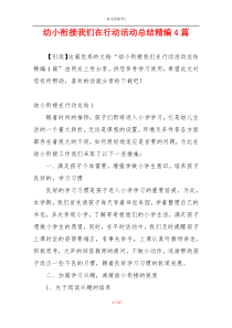 幼小衔接我们在行动活动总结精编4篇