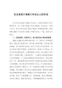 在全县统计调查工作会议上的讲话