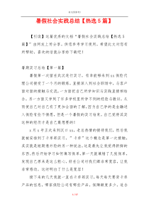 暑假社会实践总结【热选5篇】