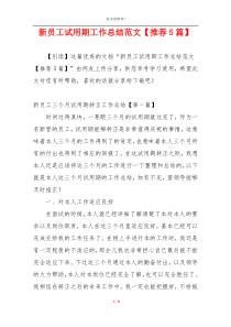 新员工试用期工作总结范文【推荐5篇】