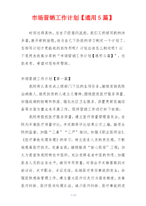 市场营销工作计划【通用5篇】