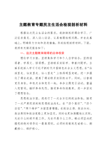 2023年主题教育专题民主生活会检视剖析材料