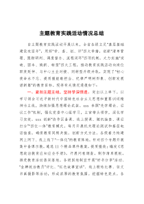 主题教育实践活动情况总结